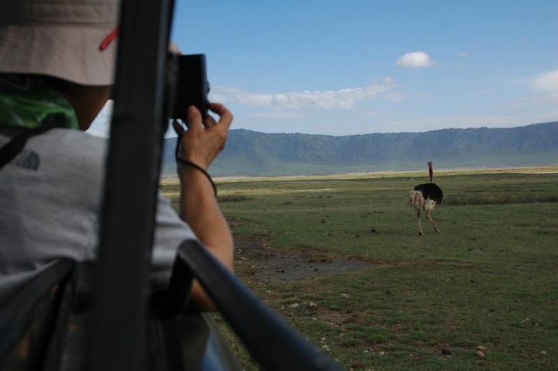Tansania Safari Serengeti