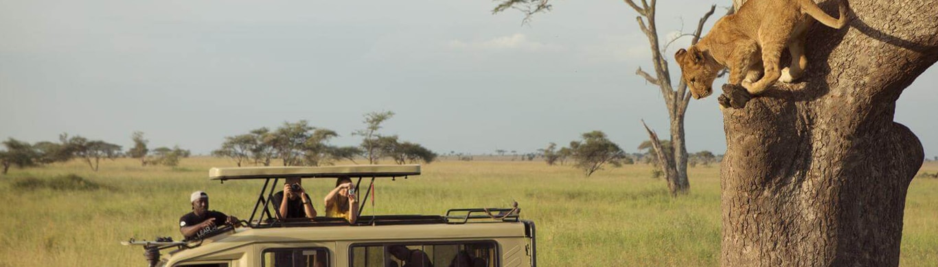 Bucket List of 10 Interesting Things to Do On a Safari in Tanzania