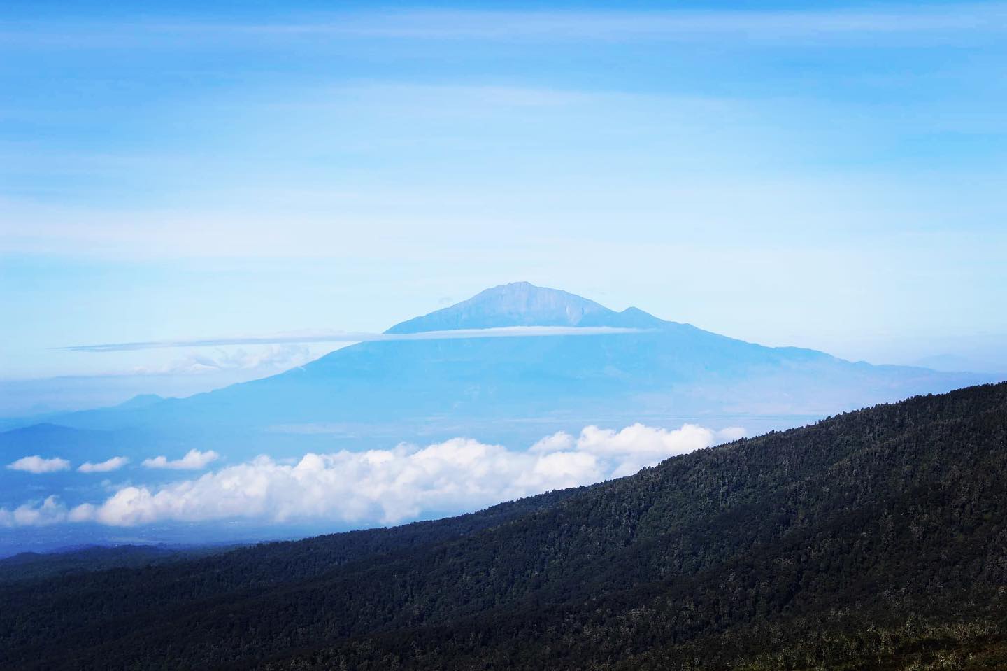 Kilimanjaro Tageswanderung Pläne