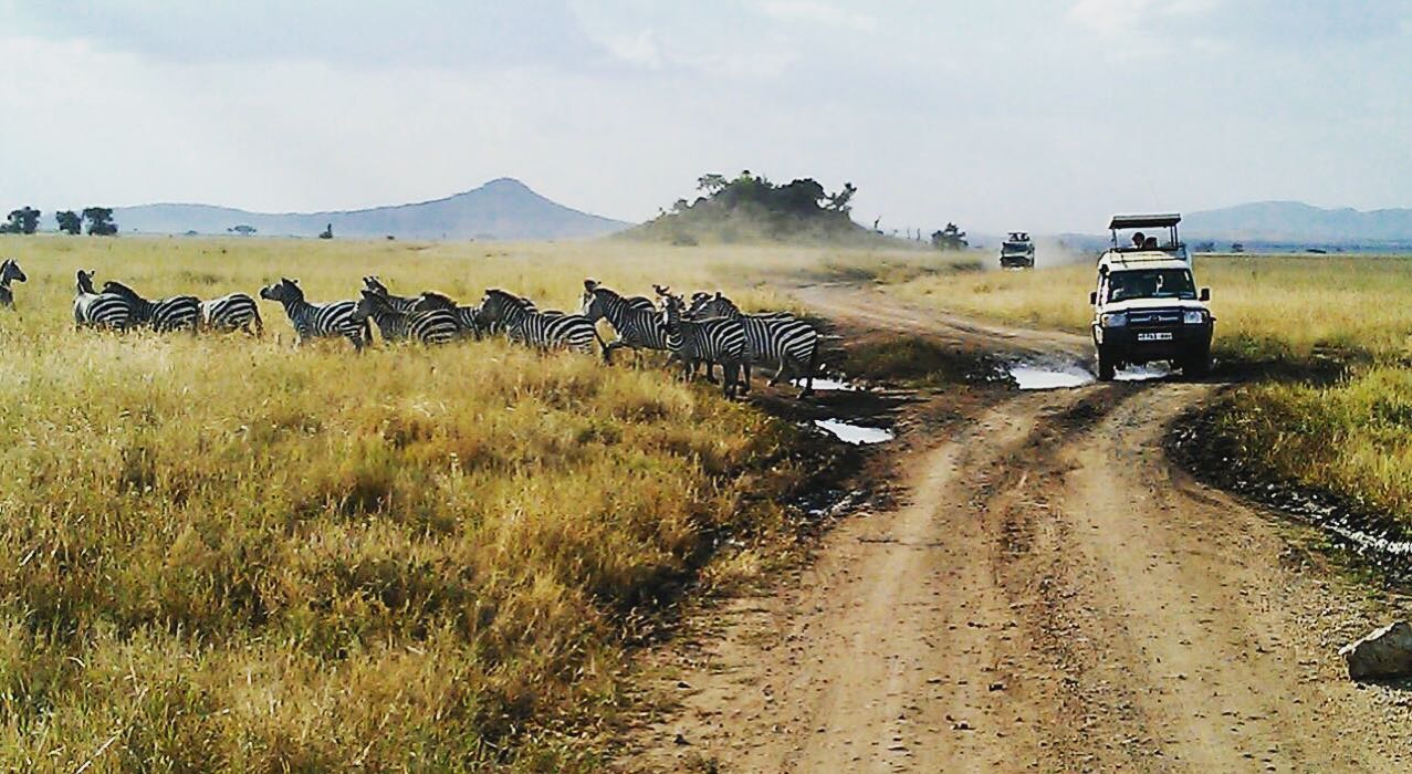 Entdecken Sie die wilden Wunder von Afrika: Serengeti und Ngorongoro Safari-Pakete